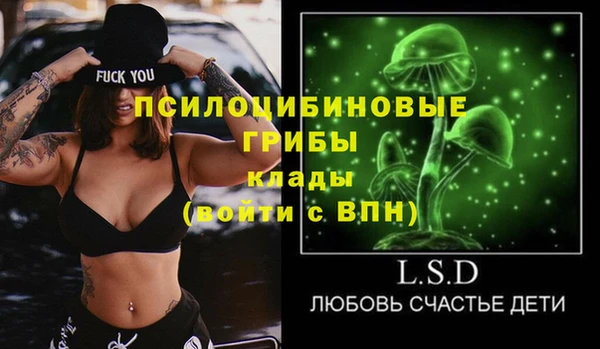 герыч Алексин